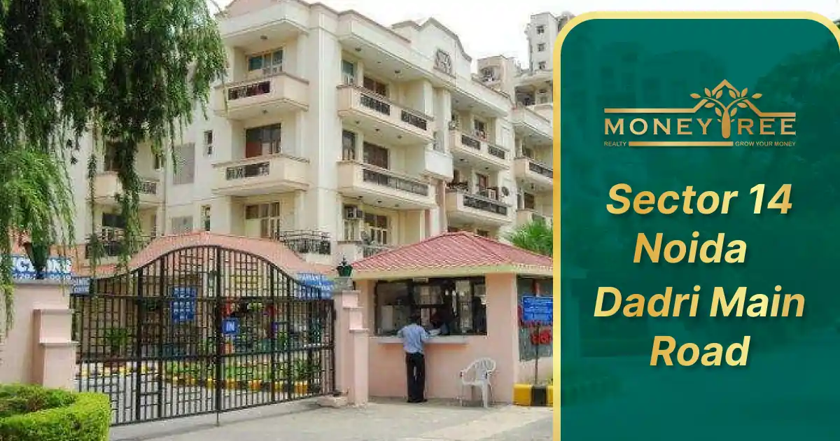  Sector 14 Noida | Dadri Main Road